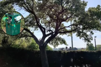 Overflowing dog poo bins in Cardiff parks a hazard, say parents 2026