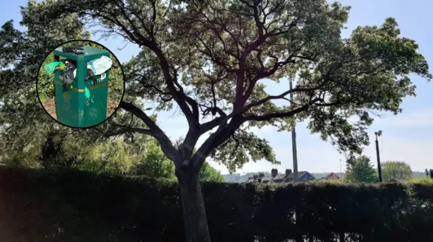 Overflowing dog poo bins in Cardiff parks a hazard, say parents 2026