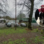 Plans Submitted for Indoor Horse Riding Facility Near Cardiff 2026