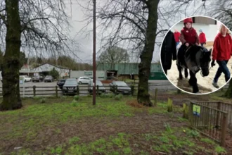 Plans Submitted for Indoor Horse Riding Facility Near Cardiff 2026