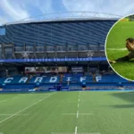 Robshaw urges Quins to show defensive steel against Sale 2026