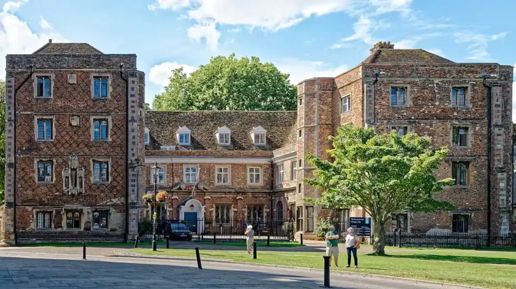 Youth Services Gap: Why Ely Kids Fall Behind Community Analysis