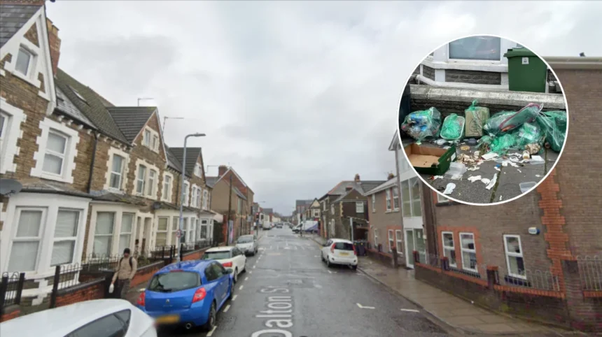 Students Slam Rubbish Piles and Rats in Cathays Cardiff 2026