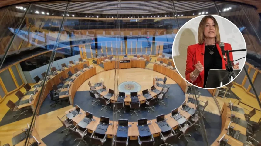 Welsh Lib Dems Manifesto: No Independence Funds, Care Boost (Cardiff, 2026)