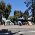 Youth Services Gap Why Ely Kids Fall Behind Community Analysis