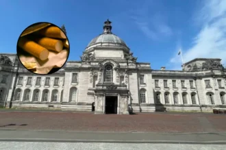 Cardiff Gang Jailed for £1.4m Cigarette Duty Evasion, 2026