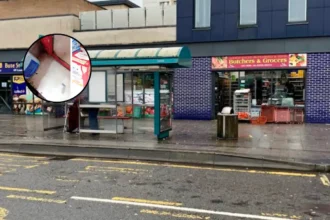 Shopkeeper Fined After Rat Infestation at Cardiff Shop, 2026