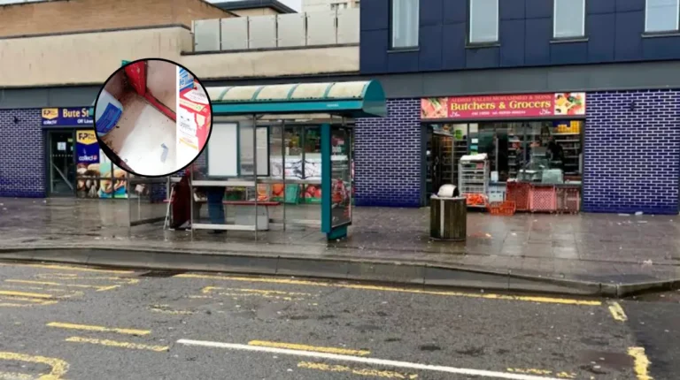 Shopkeeper Fined After Rat Infestation at Cardiff Shop, 2026