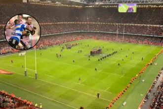 Stormers Beat Cardiff 44-21 in URC Quarter-Final; Cape Town, 2026