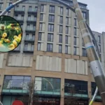 Super Furry Animals Launch Exclusive 2026 Pop-Up Shop in Cardiff