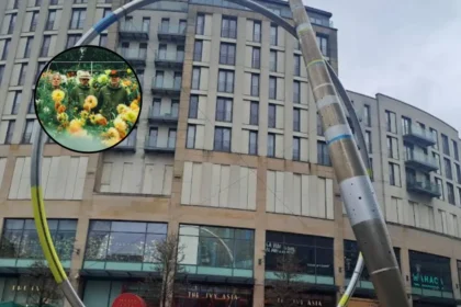 Super Furry Animals Launch Exclusive 2026 Pop-Up Shop in Cardiff