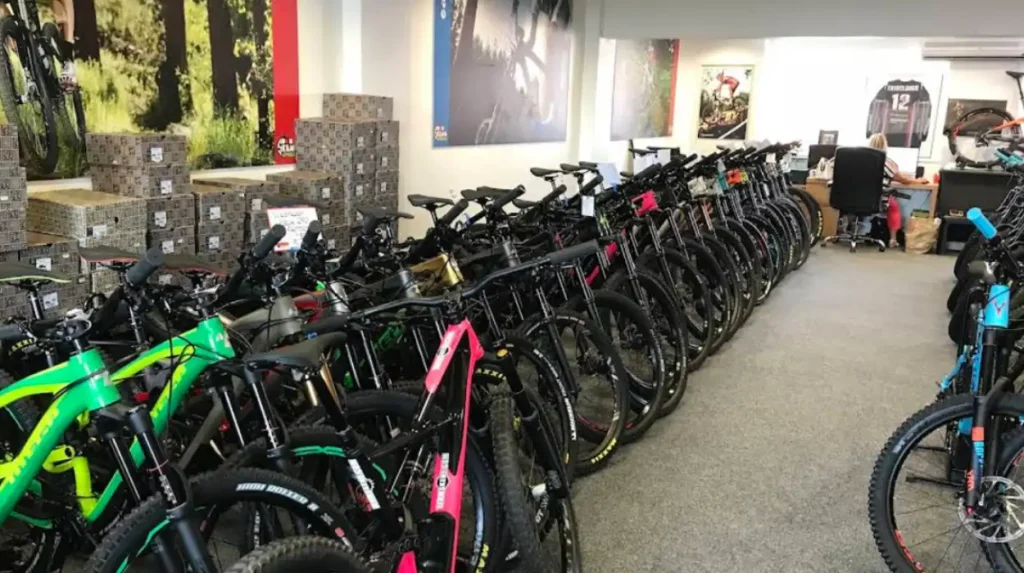 What is the economic relevance of independent bike shops in the modern retail landscape?