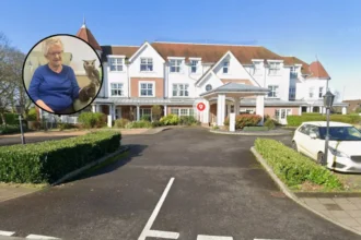 Birds of Prey Visit Llys Cyncoed Care Home Cardiff 2026