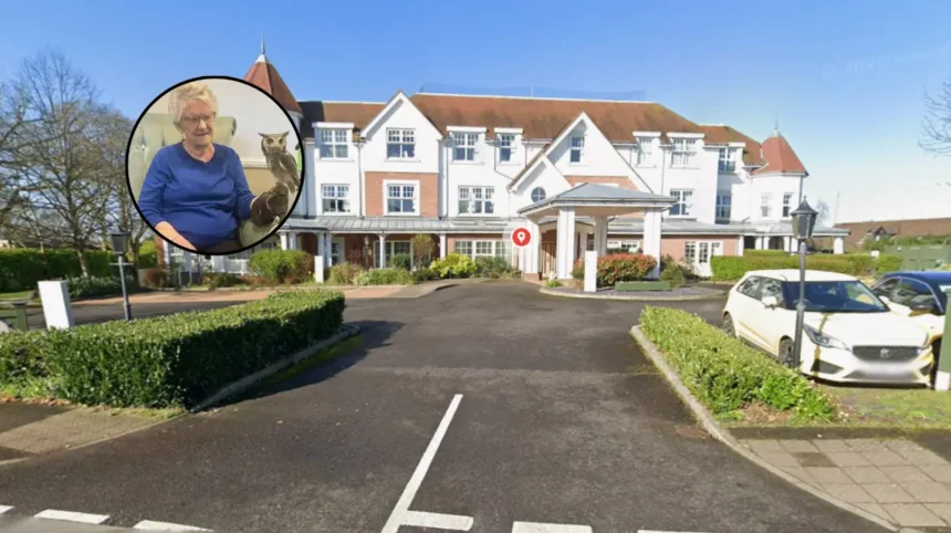 Birds of Prey Visit Llys Cyncoed Care Home Cardiff 2026