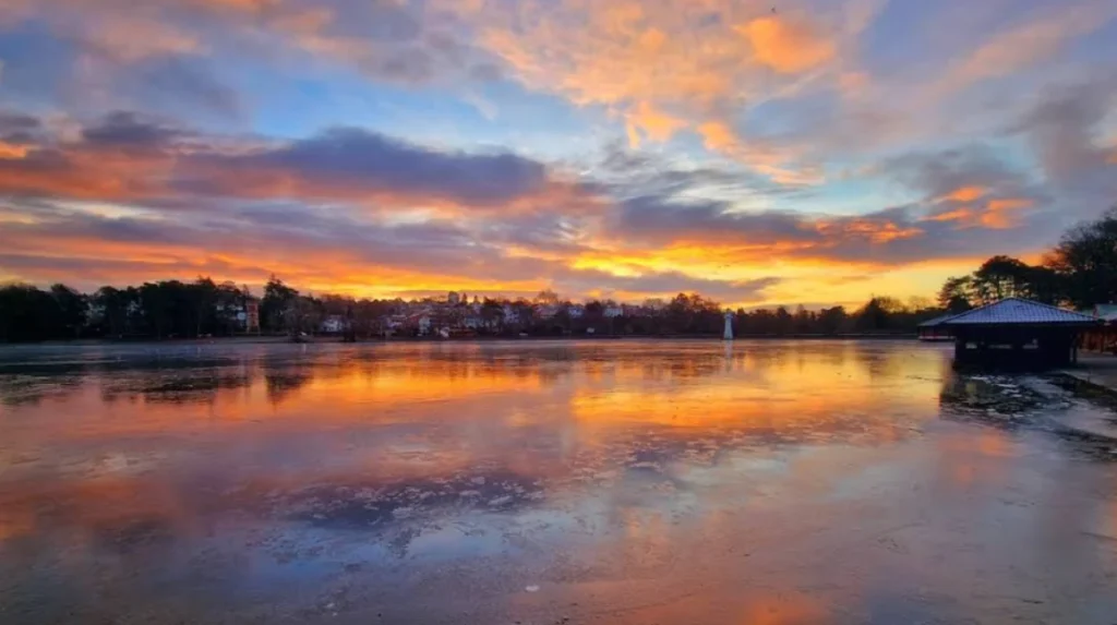 Can You Fish in Roath Park Lake?