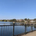 Can You Fish in Roath Park Lake? Trout Stocks and Fishing Regulations
