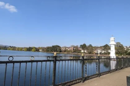 Can You Fish in Roath Park Lake? Trout Stocks and Fishing Regulations
