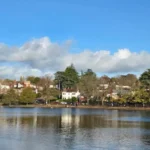 Finding the Rare and Historical Flowering Trees in Roath Park Cardiff