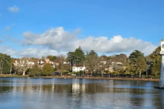 Finding the Rare and Historical Flowering Trees in Roath Park Cardiff