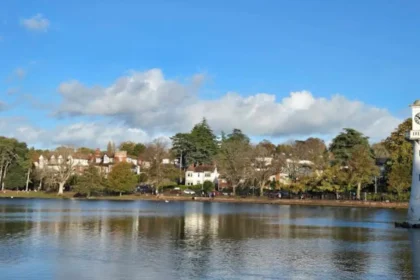 Finding the Rare and Historical Flowering Trees in Roath Park Cardiff