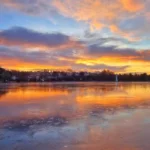 Is Roath Park Lake Clear of Blue-Green Algae? Latest Safety Updates