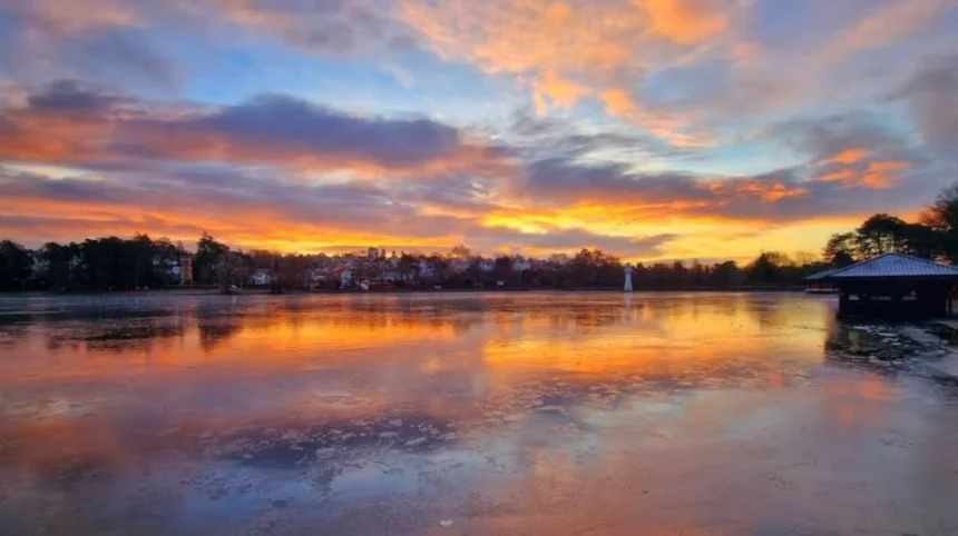 Is Roath Park Lake Clear of Blue-Green Algae? Latest Safety Updates
