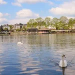 Is Roath Park Natural or Man-Made? Cardiff’s Historic Park