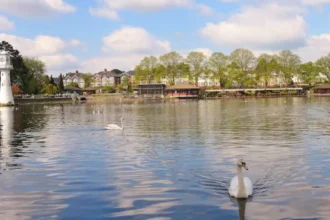 Is Roath Park Natural or Man-Made? Cardiff’s Historic Park