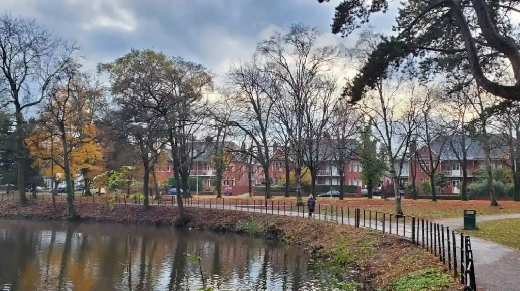 Real-World Examples of Lake Usage