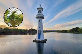 Roath Park Conservatory Closes Due to Extreme Heat: Cardiff 2026