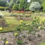 Roath Park Opening Times: Is It Open Today in Cardiff?