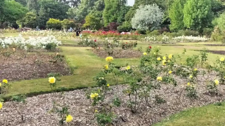 Roath Park Opening Times: Is It Open Today in Cardiff?