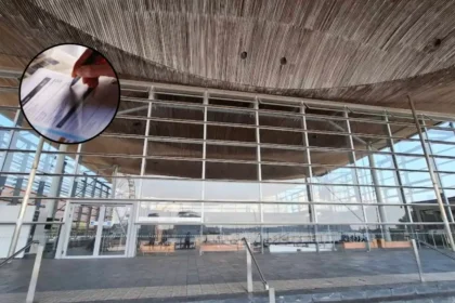 Senedd Election Postal Vote Printing Failure in Cardiff 2026