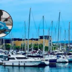 Welsh Dragon Series Youth Sailing Regatta Concludes at Cardiff Bay 2026