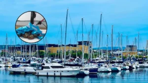 Welsh Dragon Series Youth Sailing Regatta Concludes at Cardiff Bay 2026