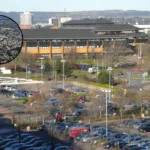 Welsh Speakers Rise in Cardiff as Council Hails Progress 2026