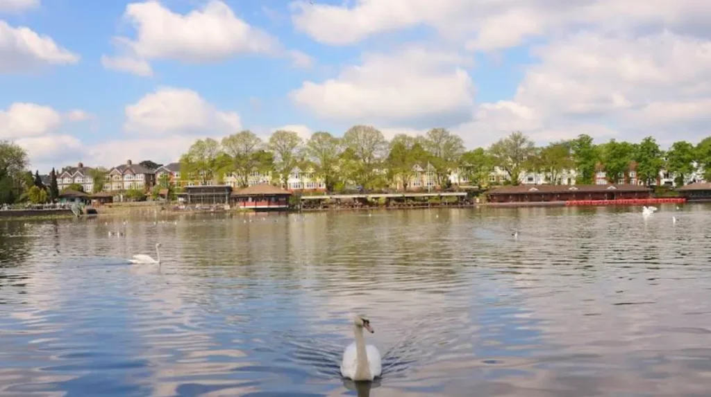 What Are the Daily Opening Times for Roath Park?