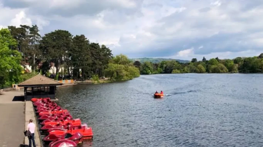 What Impact Does Fishing Have on Roath Park Lake's Wildlife?