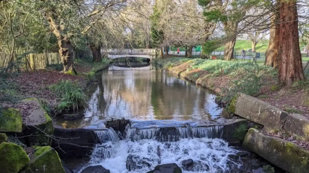 What Is the Botanical History of Roath Park?