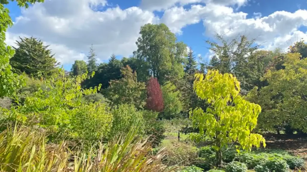 What Rare Flora Exists Inside the Roath Park Conservatory?