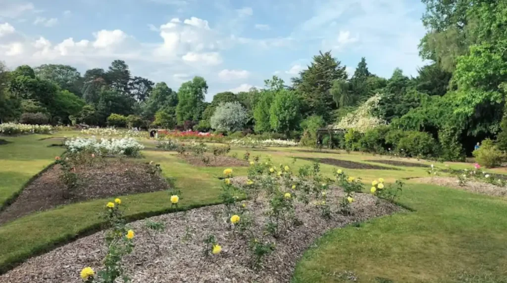 What is Roath Park?