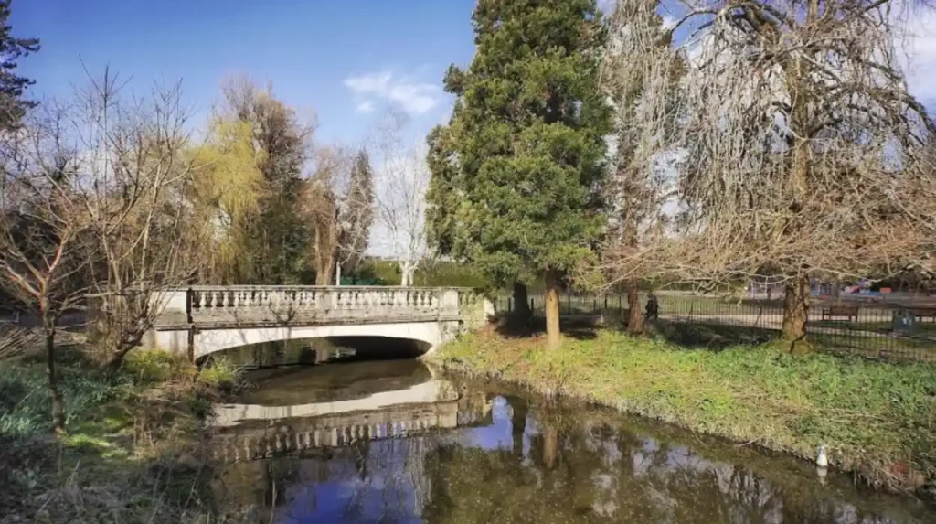 When Is Roath Park Open for Dog Walkers?