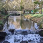 Where Does the Roath Stream Go? Cardiff Waterway Explained