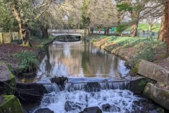 Where Does the Roath Stream Go? Cardiff Waterway Explained