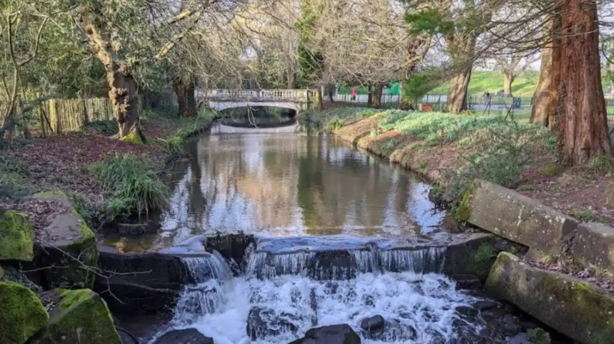 Where Does the Roath Stream Go? Cardiff Waterway Explained