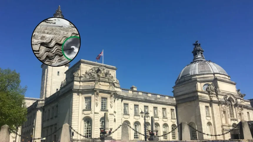 Asbestos Found in 300+ Cardiff Council Buildings, 2026