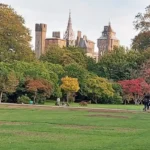 Bute Park Walking Routes: Best Cardiff Trails, Maps, and Family Paths