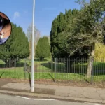 Cardiff Park Pond Turns to Sludge as Moorhen Saved 2026