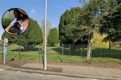 Cardiff Park Pond Turns to Sludge as Moorhen Saved 2026