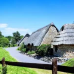 Cosmeston Lakes Day Trip From Cardiff: Nature, Medieval Village and Family Fun